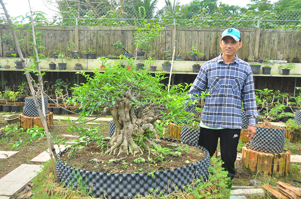 'Choáng ngợp' vườn bonsai 'khủng' ở Đồng Tháp ảnh 6