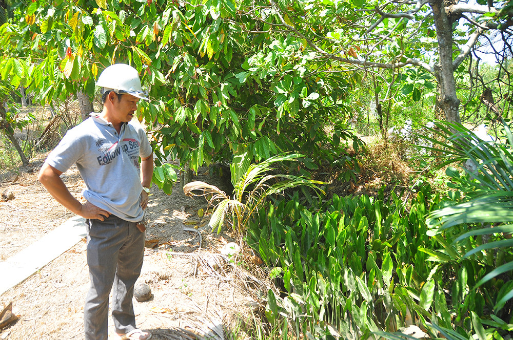 Cận cảnh người dân quay cuồng với hạn mặn khốc liệt chưa từng có ở ĐBSCL ảnh 9
