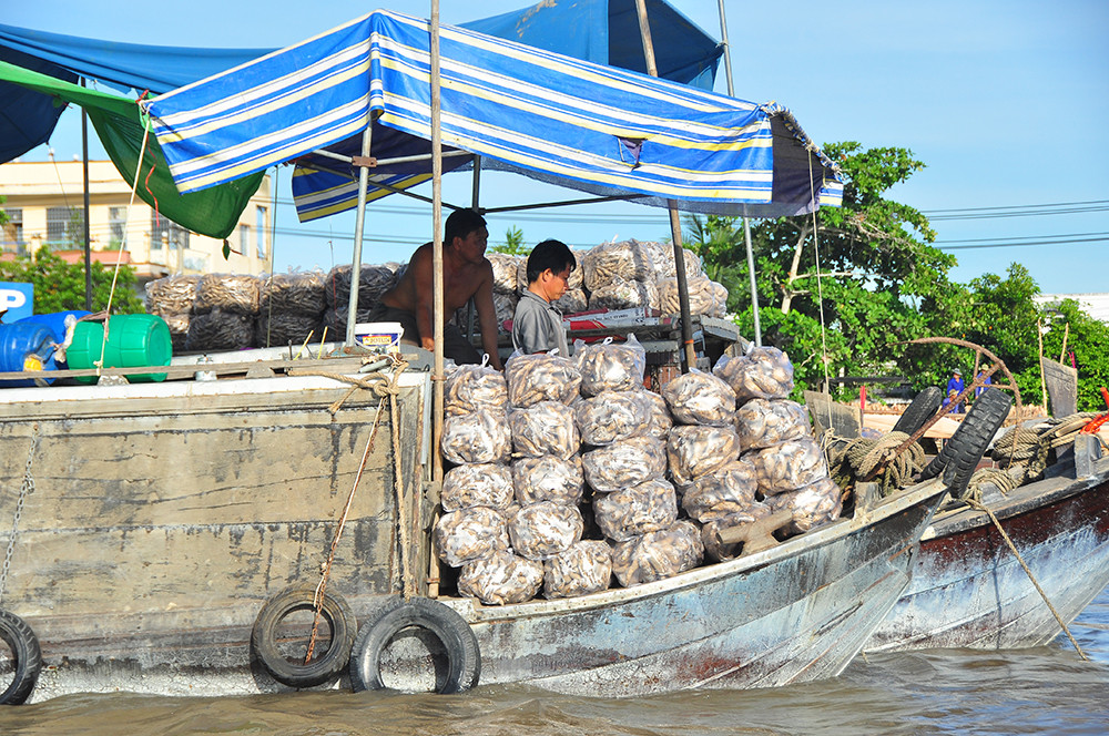 Chợ nổi Cái Răng nhộn nhịp sau giãn cách xã hội ảnh 6