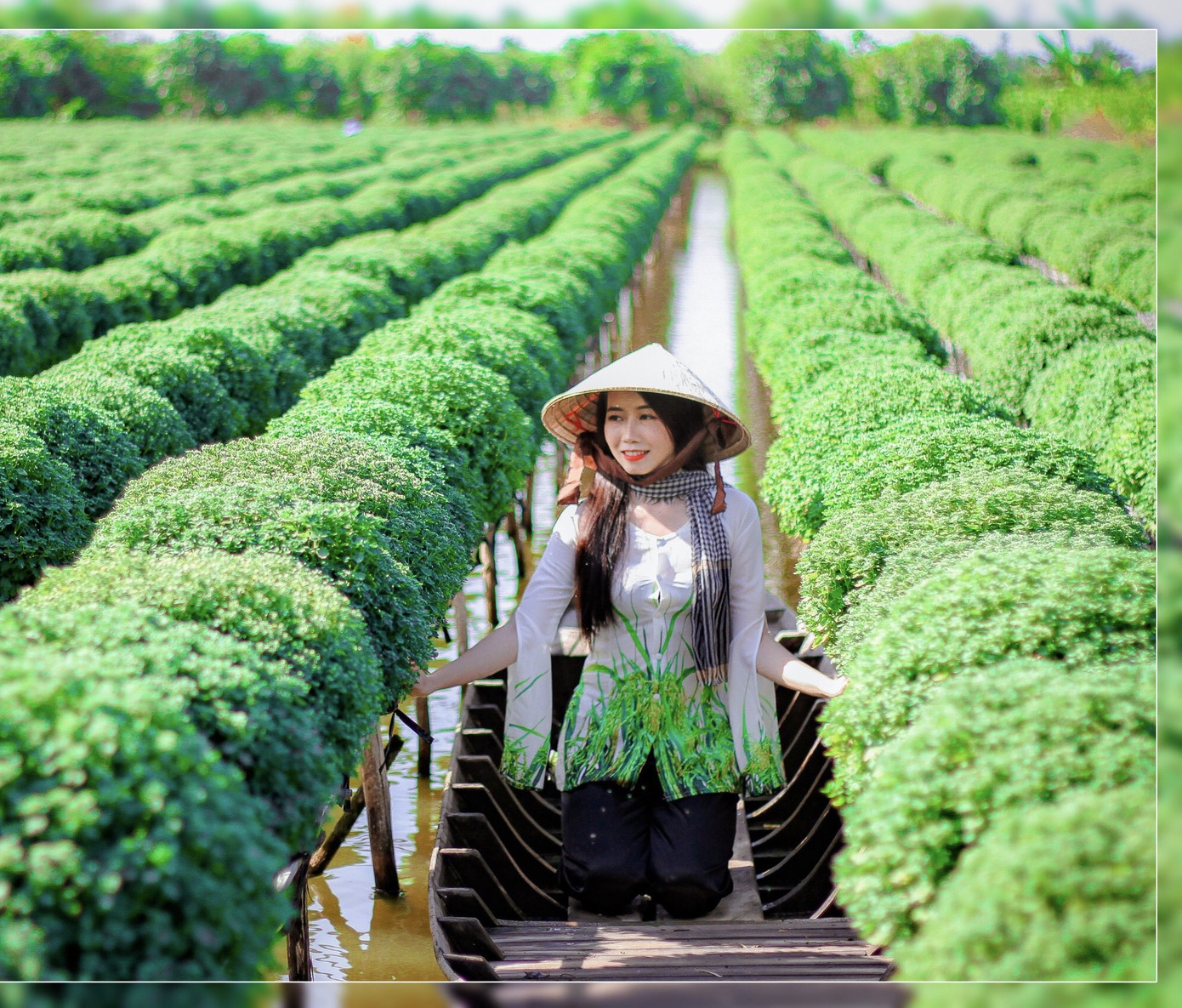 Vẻ đẹp dịu dàng của nữ sinh đất Sen Hồng ảnh 4