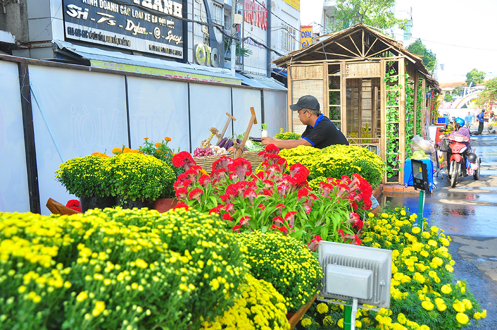 Đường hoa xuân Cần Thơ được làm từ 85 nghìn chậu phục vụ du khách ảnh 4