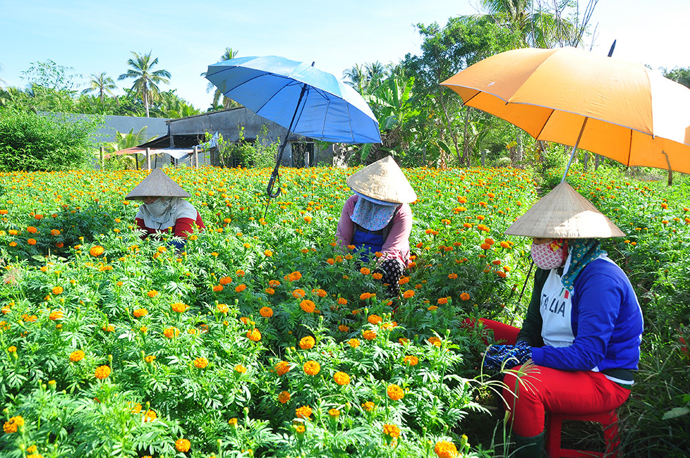 Ngọn cờ Đồng khởi đang được chuyển hóa vào tinh thần lao động ảnh 3