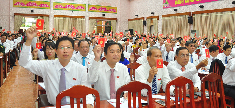 Đồng Tháp họp phiên trù bị Đại hội đại biểu Đảng bộ tỉnh lần thứ XI ảnh 2