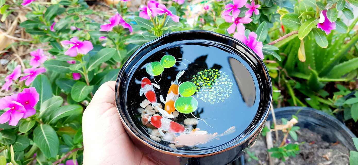 Mãn nhãn tranh 3D của thanh niên khuyết tật ở Cần Thơ ảnh 6