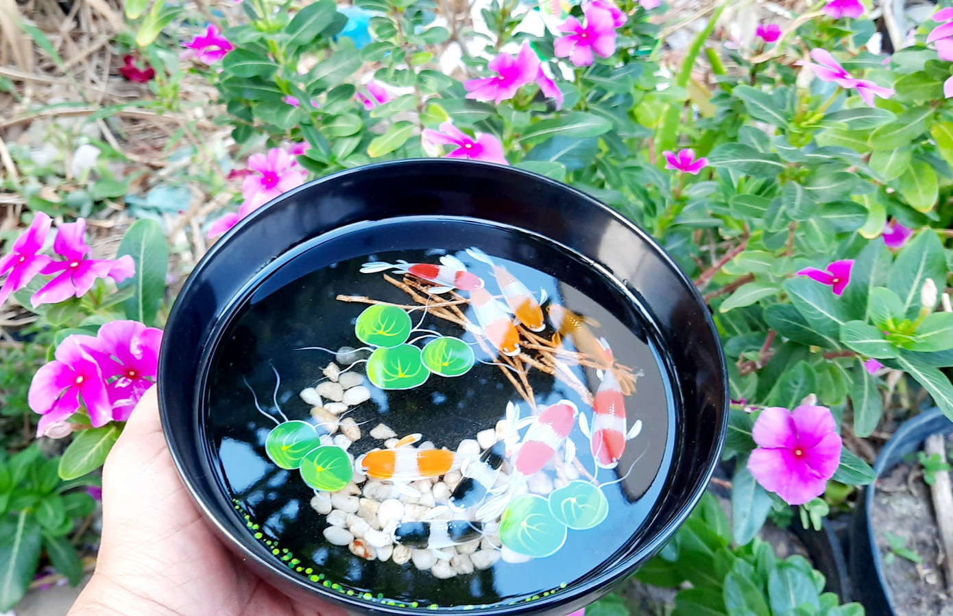 Mãn nhãn tranh 3D của thanh niên khuyết tật ở Cần Thơ ảnh 3