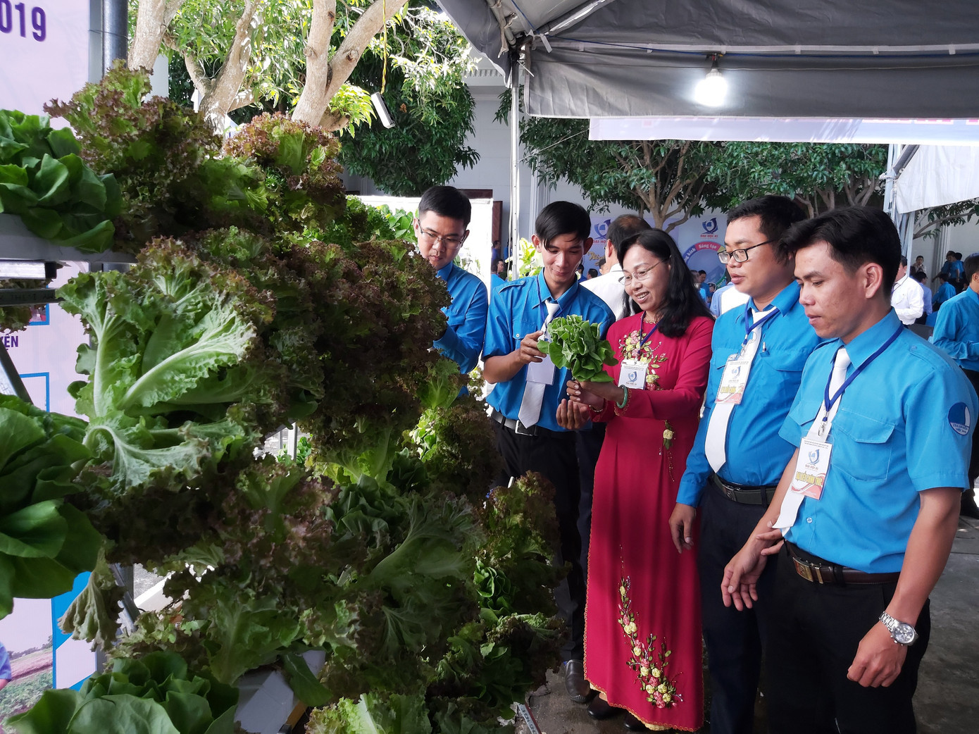 Anh Lâm Quốc Toàn tái đắc cử Chủ tịch Hội LHTN Việt Nam tỉnh Kiên Giang ảnh 3