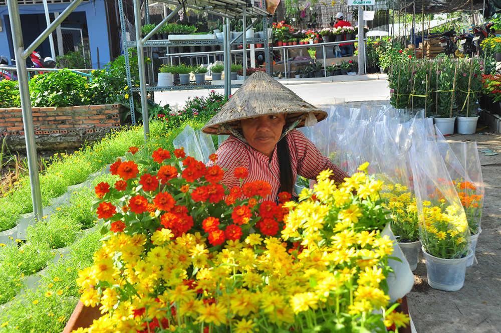 Hoa kiểng miền Tây khoe sắc rời quê lên phố ảnh 18