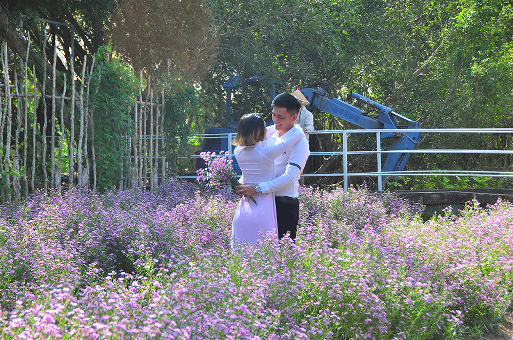 'Đà Lạt thu nhỏ' thu hút giới trẻ Tây Đô ảnh 6