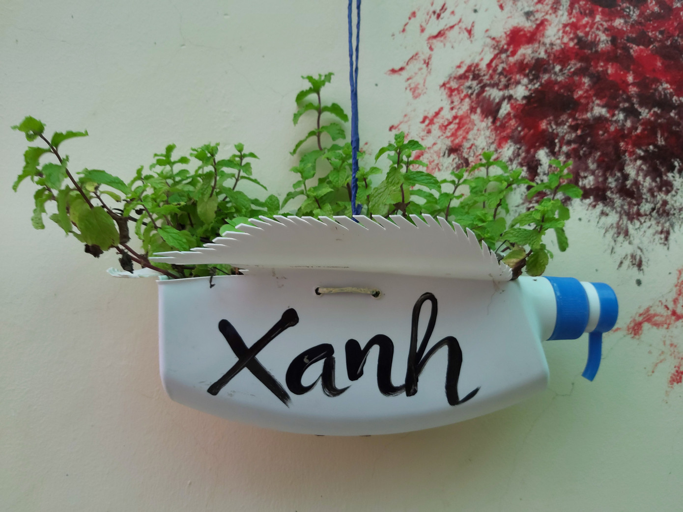 Biến bức tường cũ thành bức tranh đầy màu sắc giữa mùa dịch COVID - 19 ảnh 8