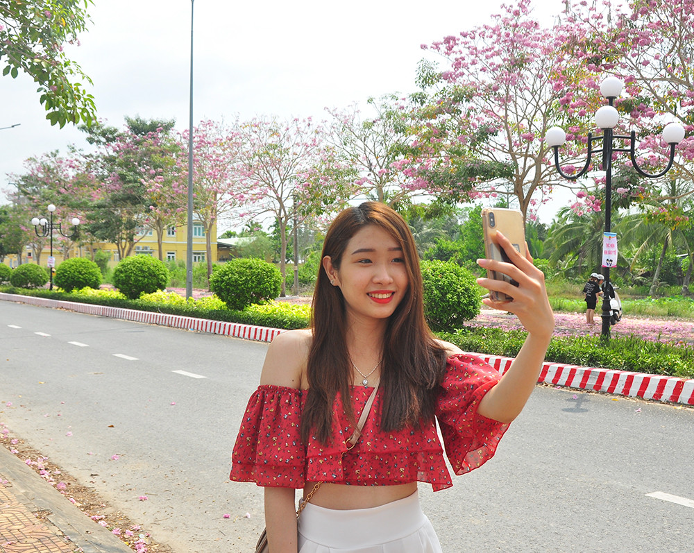 Con đường hoa kèn hồng ở miền Tây lung linh như phim Hàn thu hút giới trẻ ảnh 6