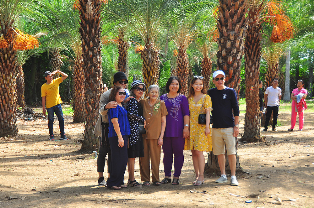 Giới trẻ thích thú vẻ đẹp vườn chà là sum suê trái ở miền Tây ảnh 10