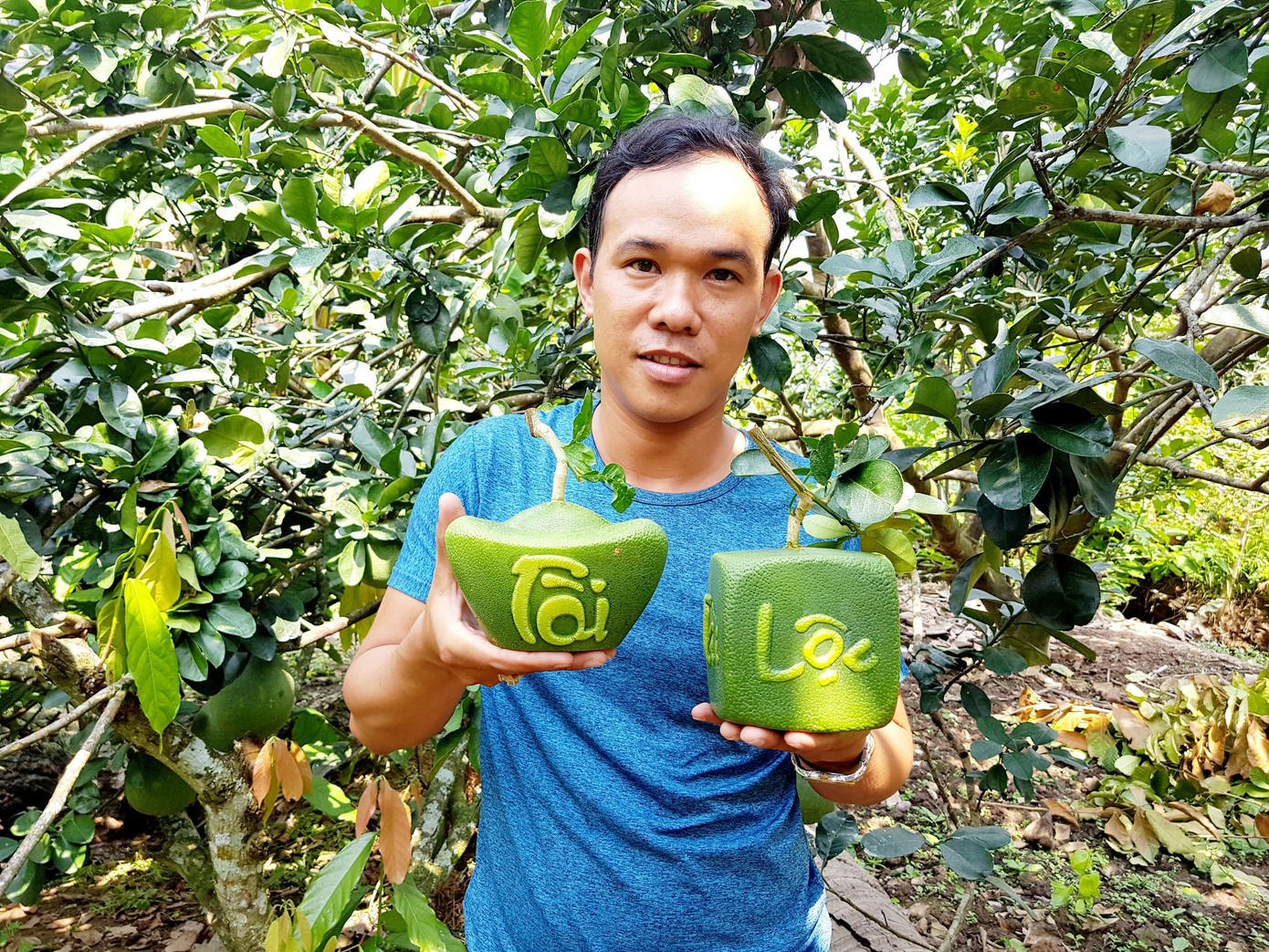 Trái cây độc, lạ rục rịch chờ tết ảnh 3