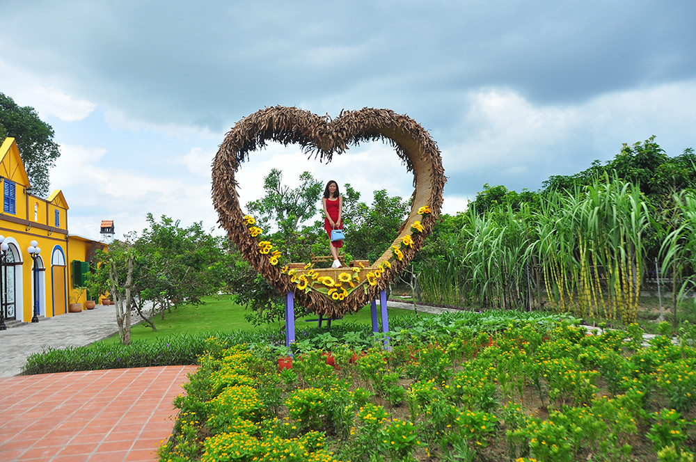 Căn nhà màu tím độc đáo ở Cần Thơ hút khách đến 'check-in' ảnh 8