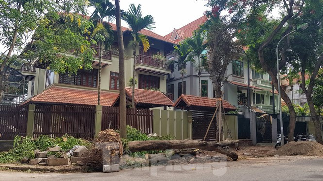 Cận cảnh biệt thự đô thị mẫu Hà Nội 'đua nhau' thay cây xanh, lát vỉa hè sai quy hoạch ảnh 3