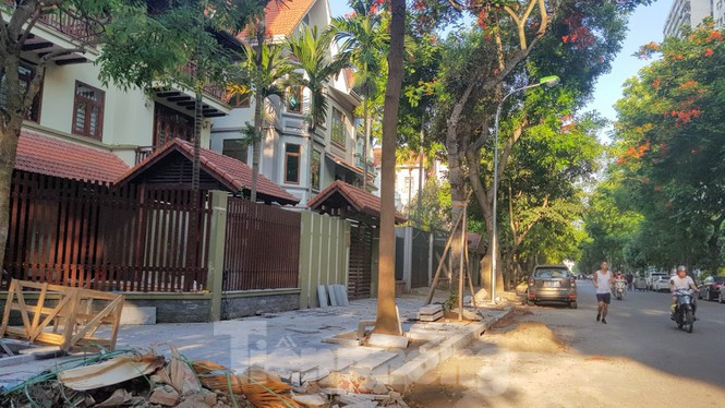 Cận cảnh biệt thự đô thị mẫu Hà Nội 'đua nhau' thay cây xanh, lát vỉa hè sai quy hoạch ảnh 1
