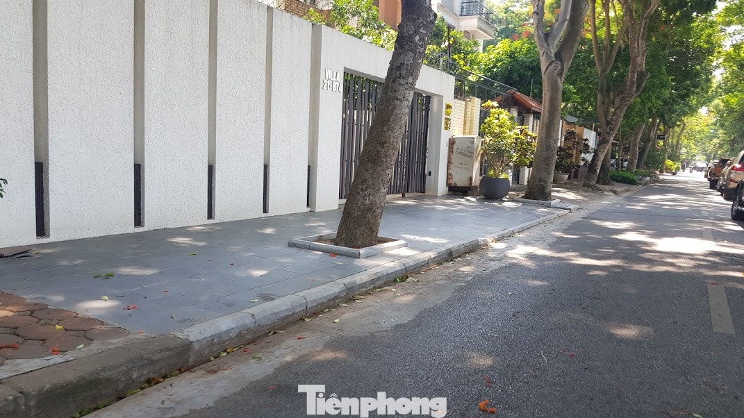 Yêu cầu chủ biệt thự đô thị mẫu chặt cây, lát vỉa hè sai quy hoạch trả lại nguyên trạng ảnh 3