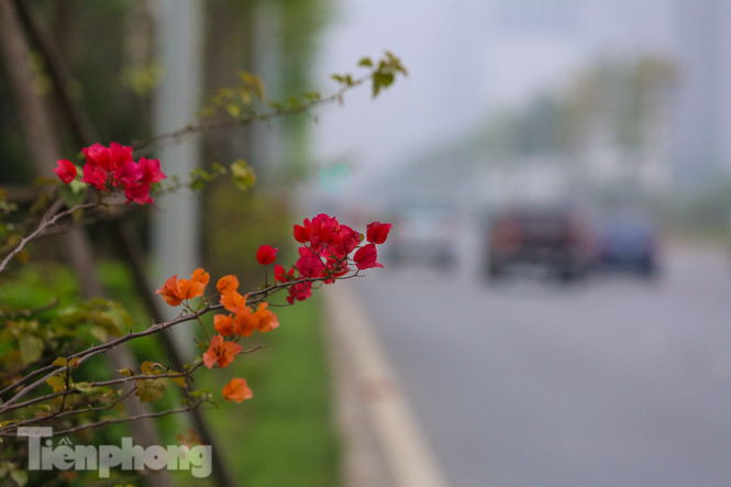 Cận cảnh tuyến đường 7.500 tỷ đồng xuyên qua 4 quận, huyện Hà Nội ảnh 11