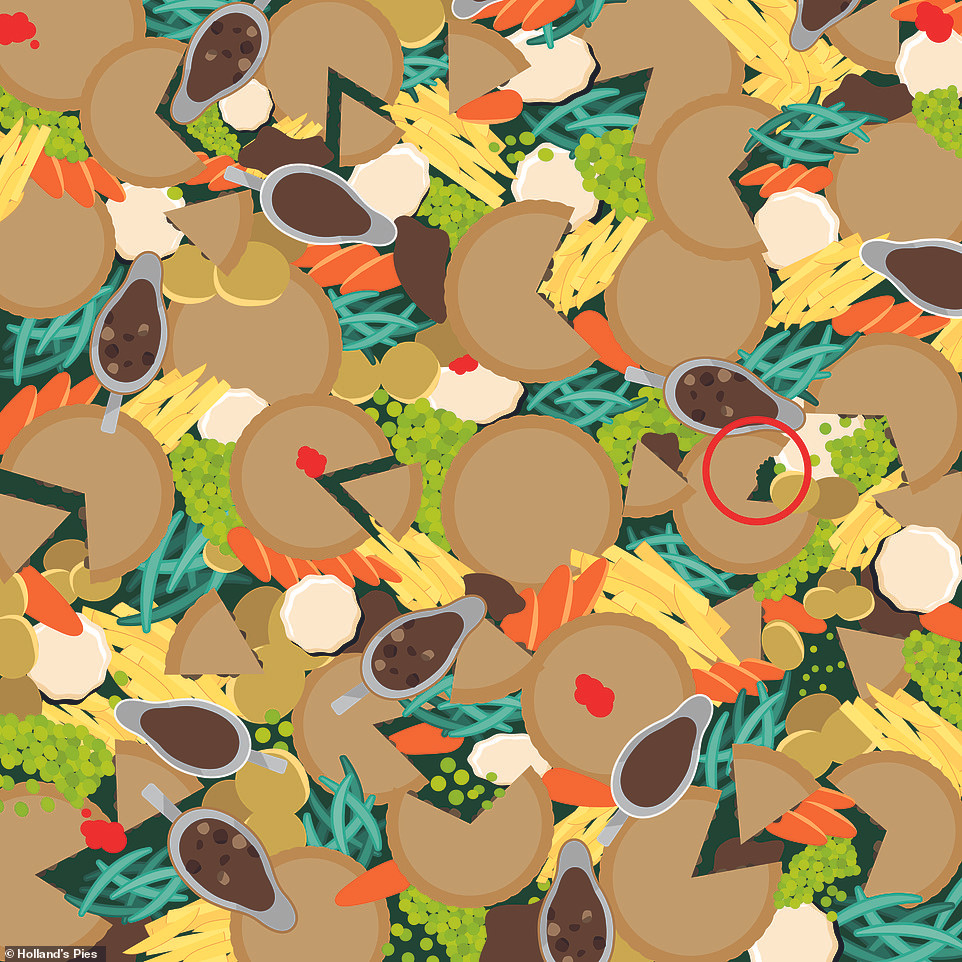 Trò chơi ‘hack não’: Tìm chú cún đang ngủ trong 30 giây ảnh 12