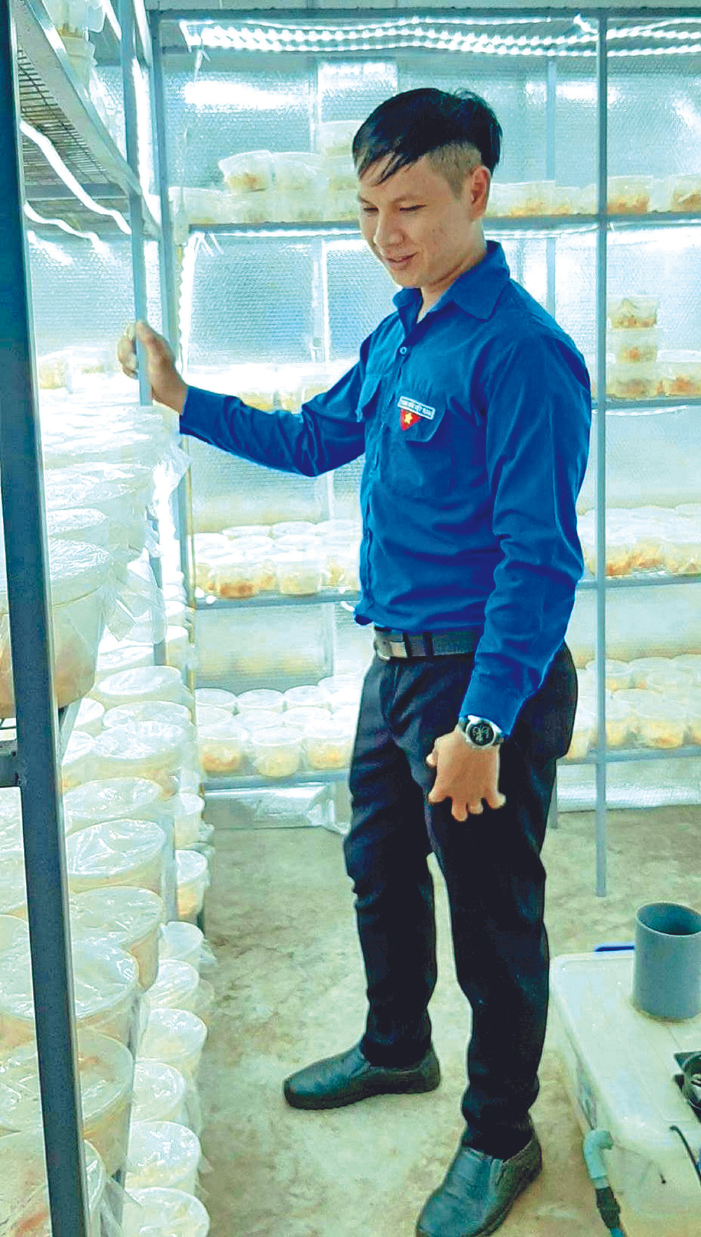 Chàng trai từ bỏ mức lương hấp dẫn để thực hiện giấc mơ làm giàu từ nấm ảnh 1