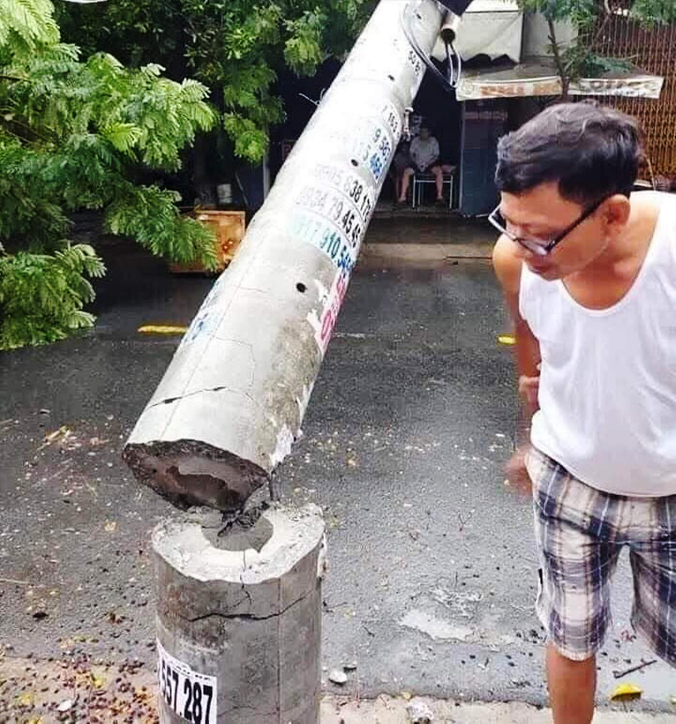 Hơn 400 cột điện gãy đổ trong bão số 5: Có bình thường? ảnh 1