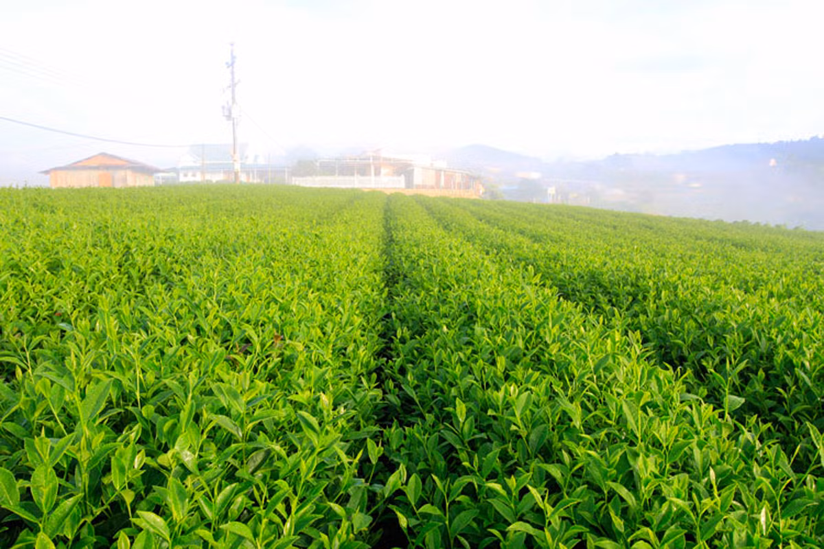 Thị trấn hoài cổ trên đỉnh đèo ảnh 1