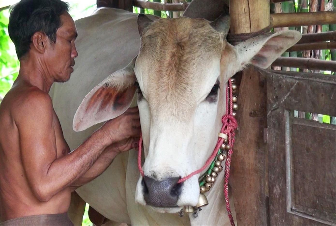 Dị nhân miền Tây và những biệt tài 'siêu độc' ảnh 1