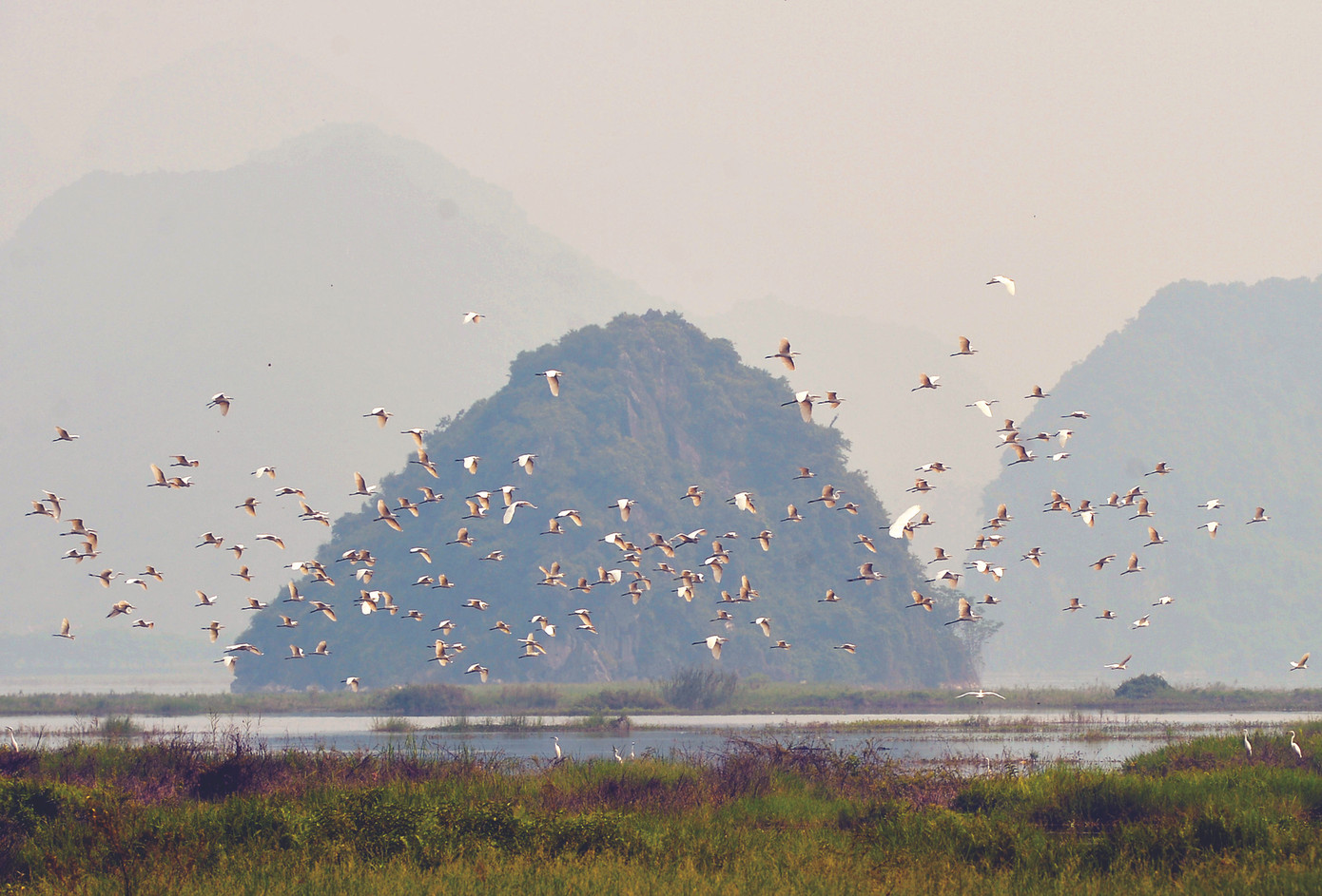 Những điều chưa biết ở chùa Tam Chúc ảnh 3