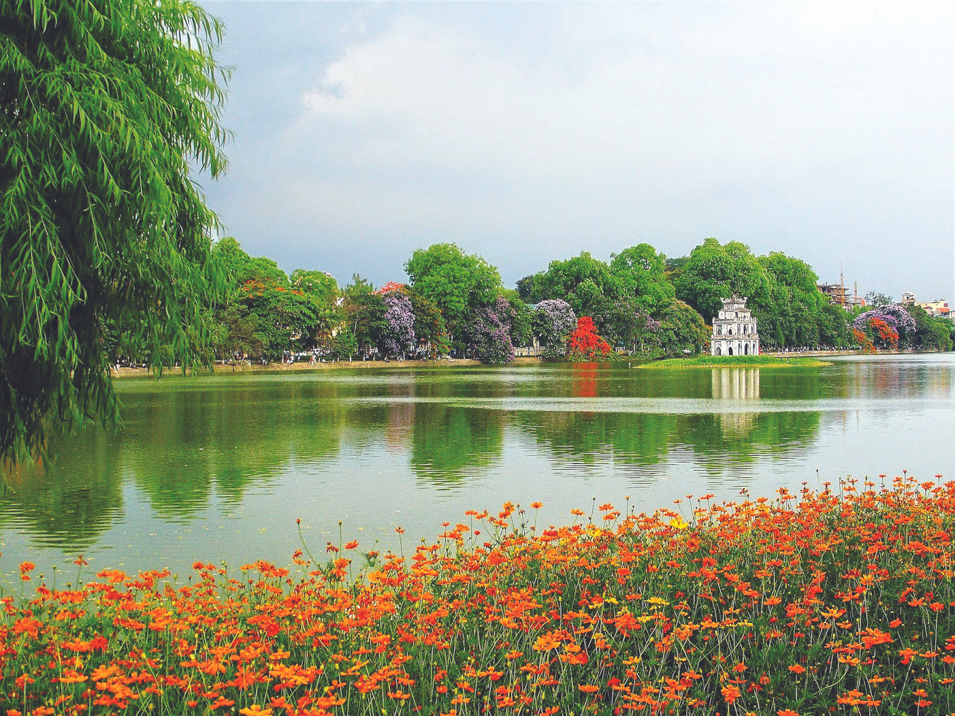 Cư dân phố cổ ảnh 2