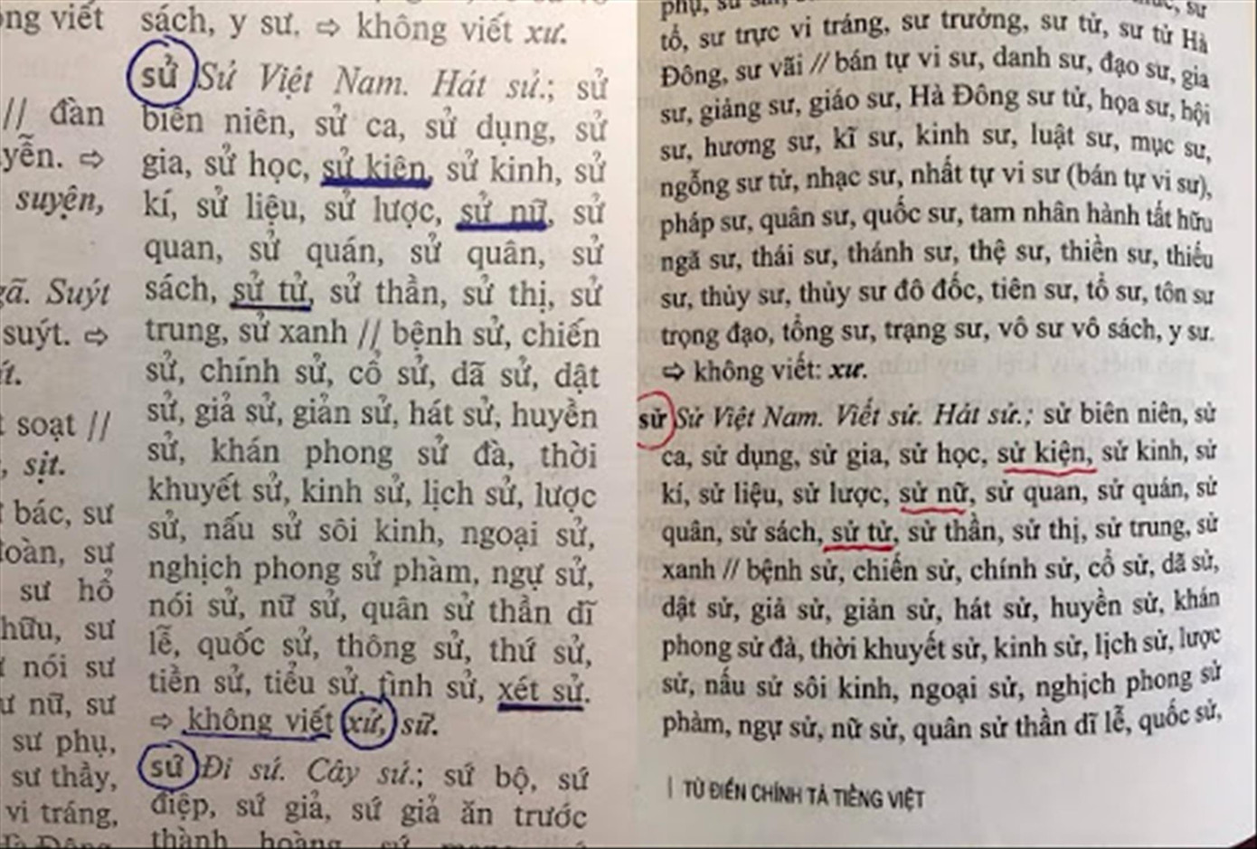 Từ điển chính tả sai chính tả: Thu hồi rồi sao nữa? ảnh 2