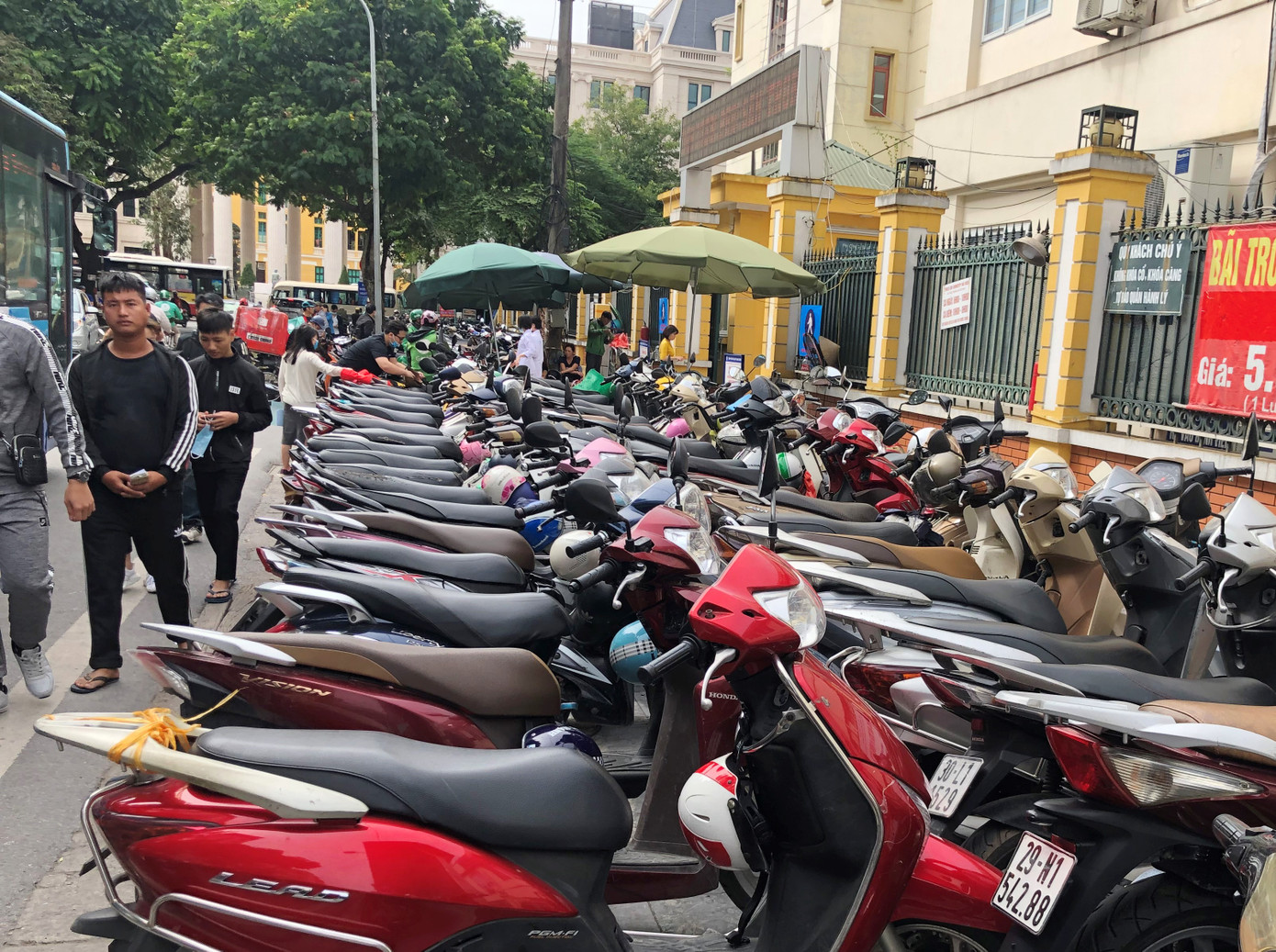 Ẩn số về chất lượng, nguồn gốc đá ảnh 4 Ẩn số về chất lượng, nguồn gốc đá ảnh 4