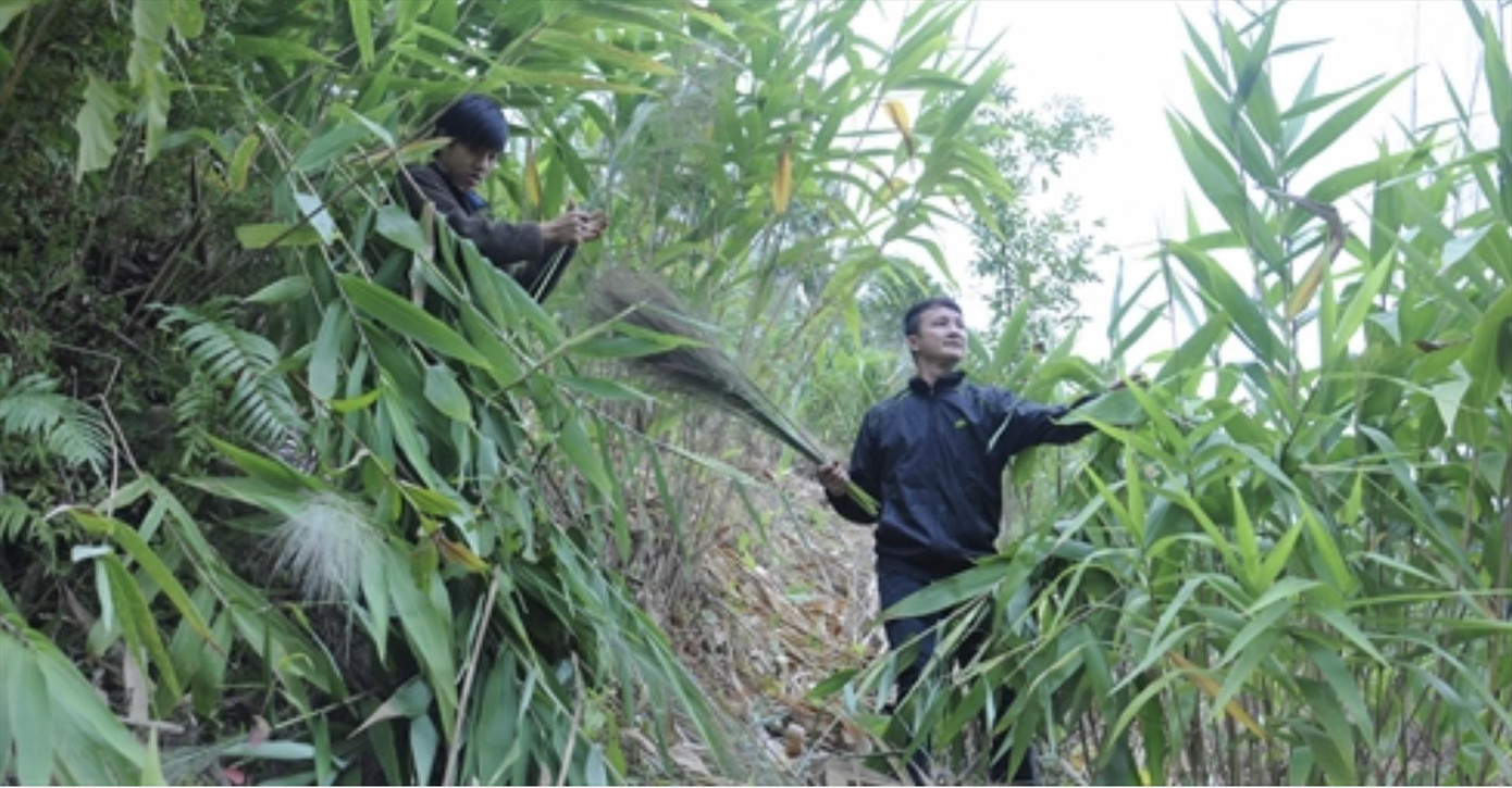 'Lộc trời' dưới chân dãy Giăng Màn ảnh 1