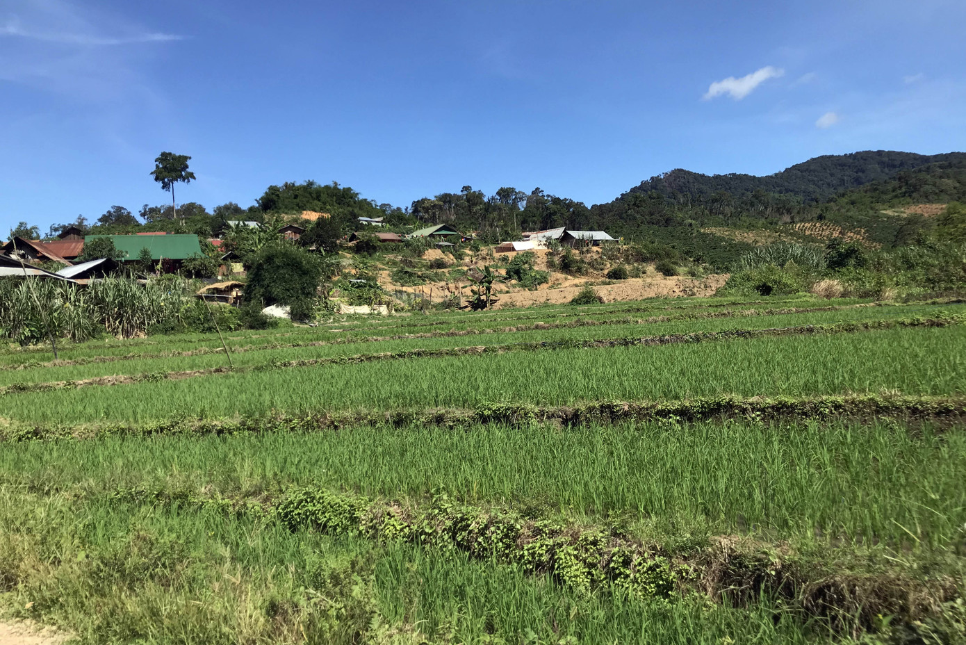 Những cư dân 'vô thừa nhận' ảnh 1