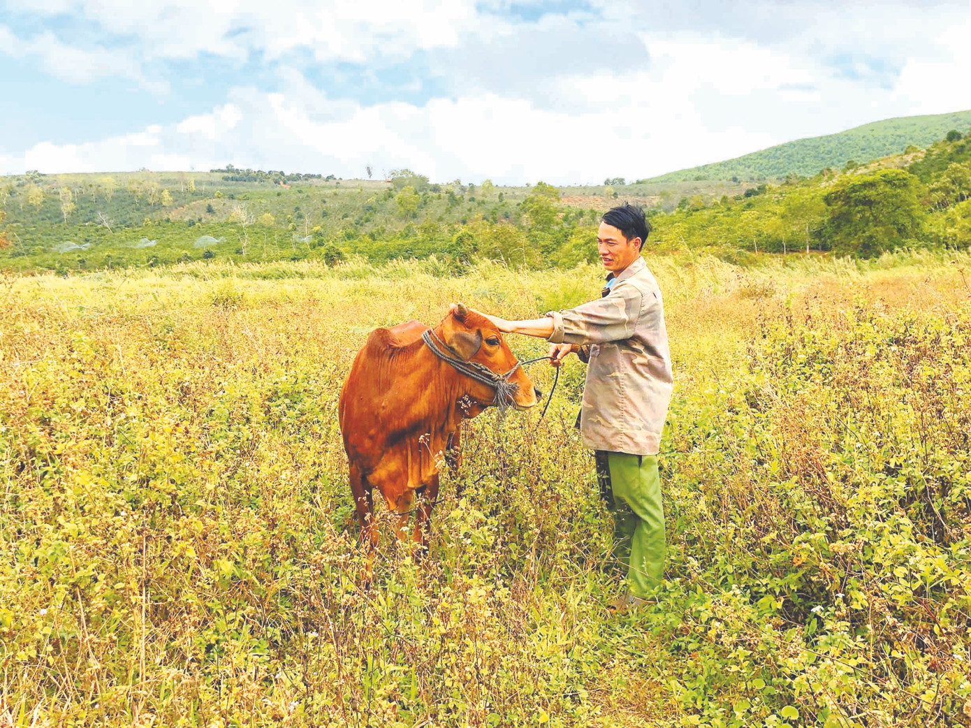 Diện mạo mới từ chương trình giảm nghèo bền vững ảnh 1