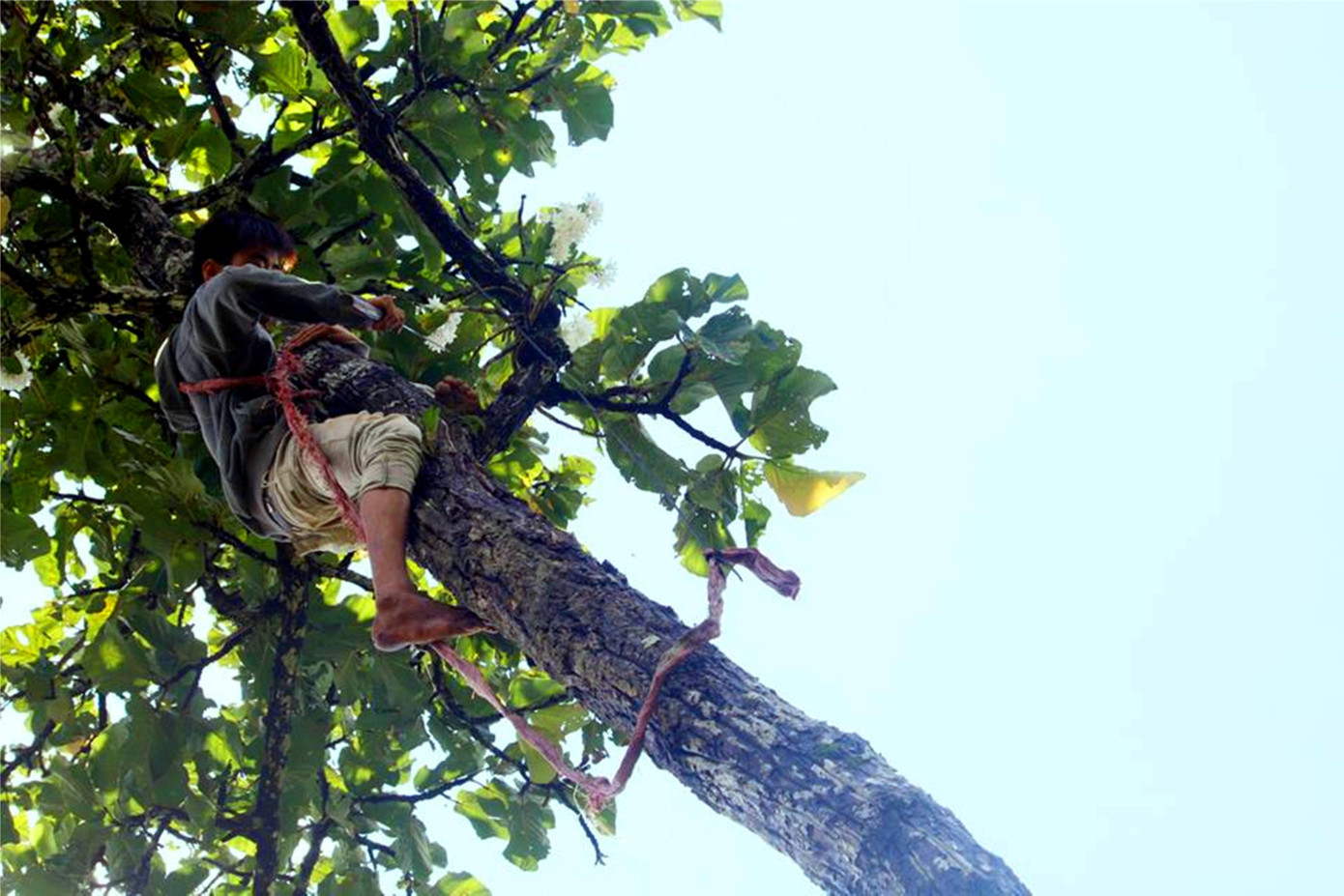 Nhức nhối di cư tự do: Những phận người lầm lũi ảnh 2