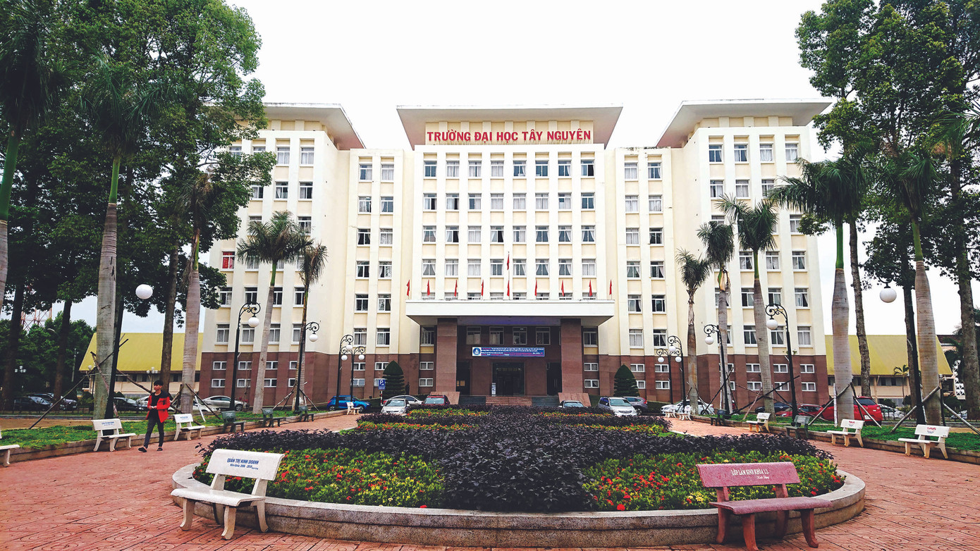 Cung ứng nguồn nhân lực chất lượng, đào tạo theo đơn đặt hàng ảnh 1