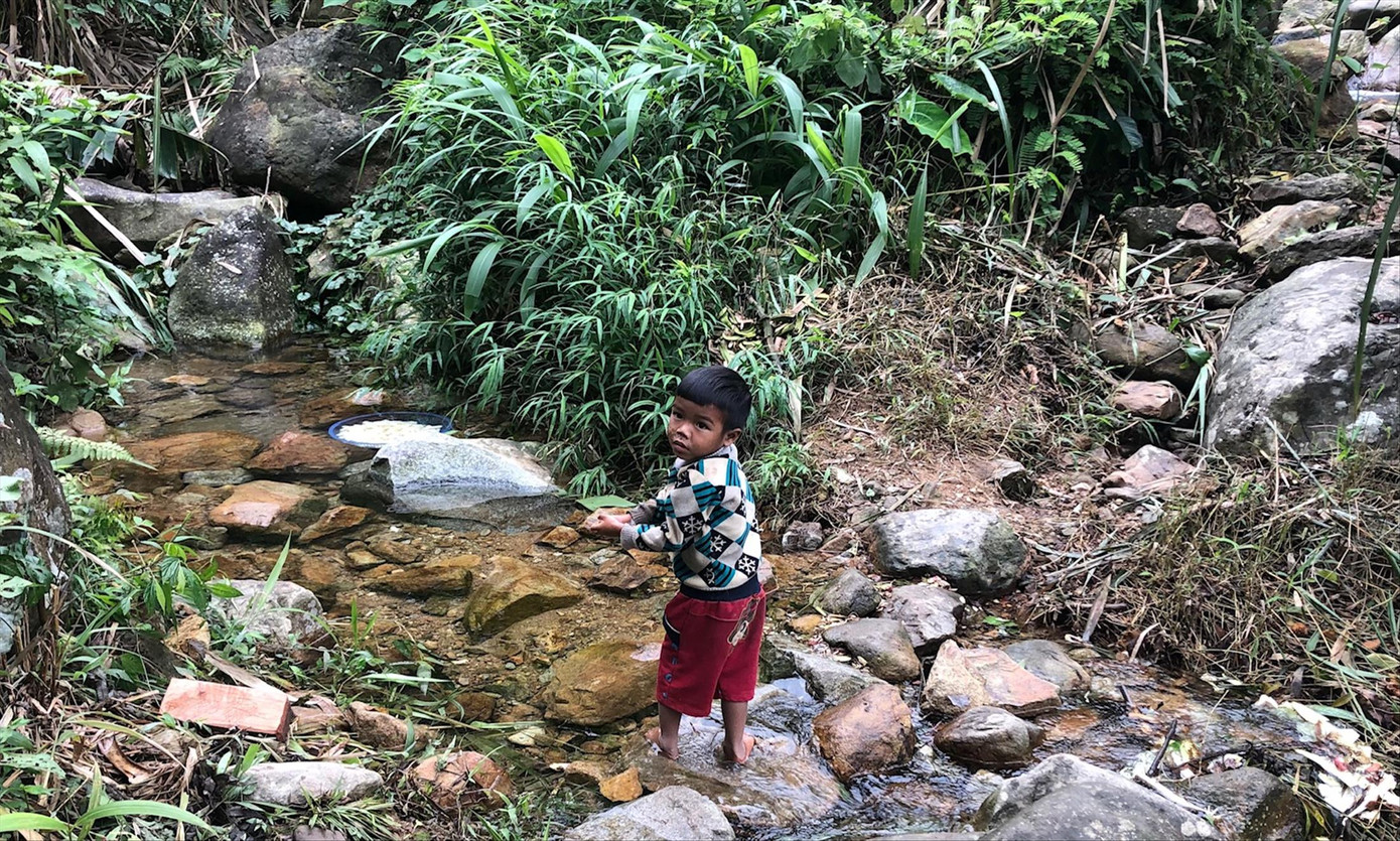 Bí ẩn tộc người vào rừng trốn Cô-vít: Bản năng sinh tồn ảnh 1