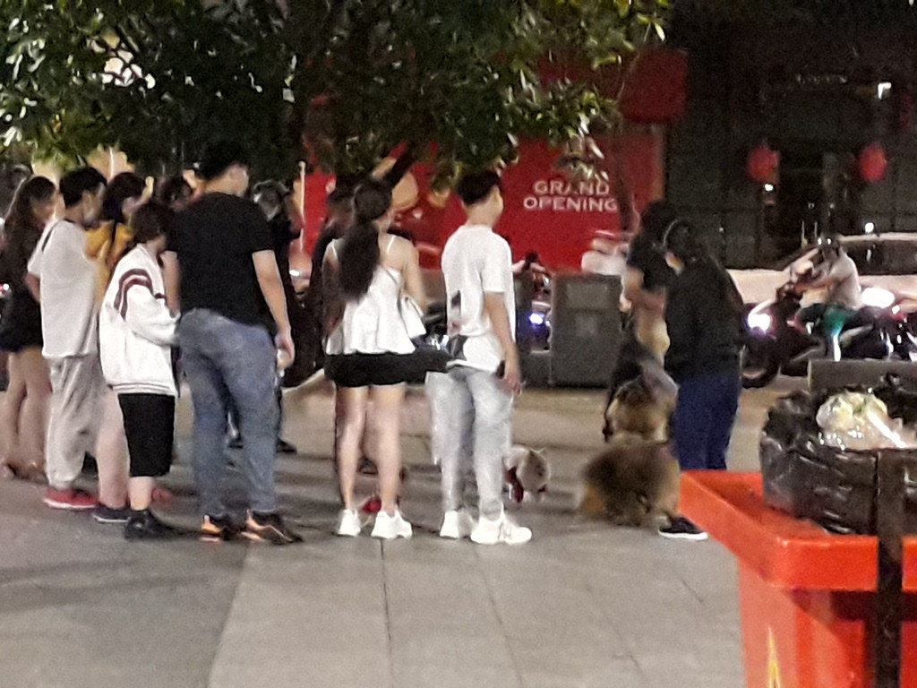 Phố đi bộ Nguyễn Huệ thành 'phố hàng rong', nơi cún cưng...phóng uế ảnh 5