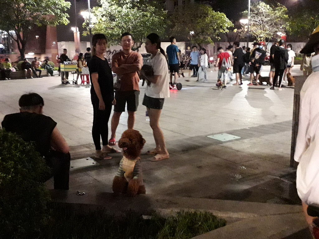 Phố đi bộ Nguyễn Huệ thành 'phố hàng rong', nơi cún cưng...phóng uế ảnh 6