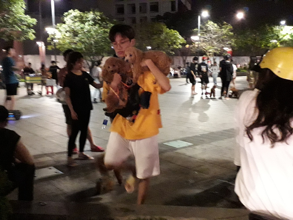 Phố đi bộ Nguyễn Huệ thành 'phố hàng rong', nơi cún cưng...phóng uế ảnh 4