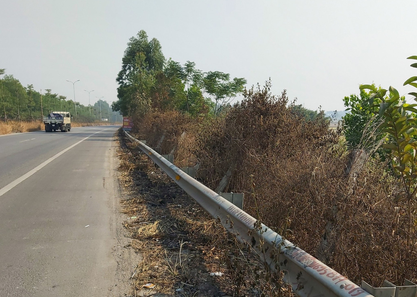 Nhiều cây xanh trên Quốc lộ 18 bất ngờ bị đốt cháy rụi ảnh 4