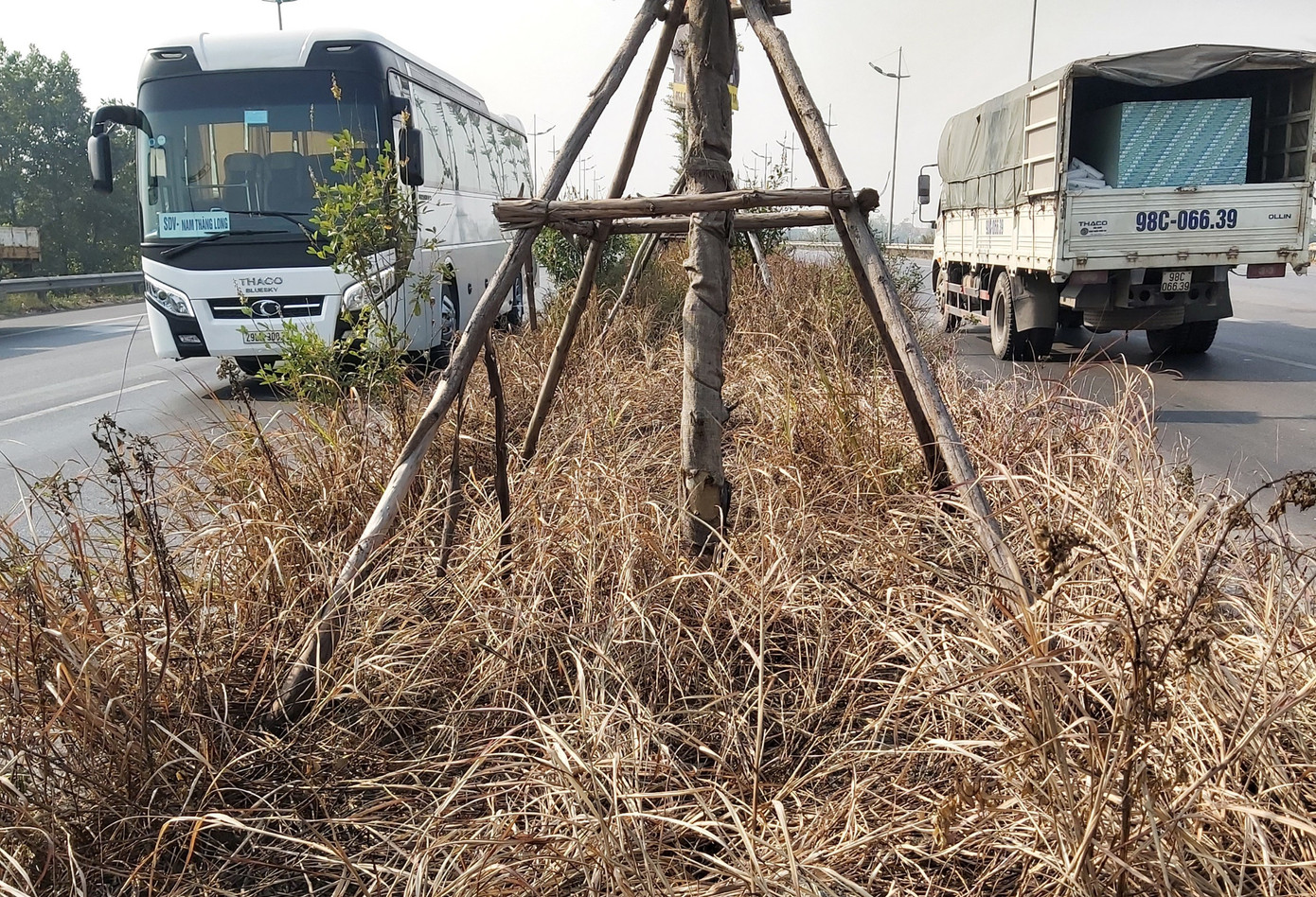 Nhiều cây xanh trên Quốc lộ 18 bất ngờ bị đốt cháy rụi ảnh 3