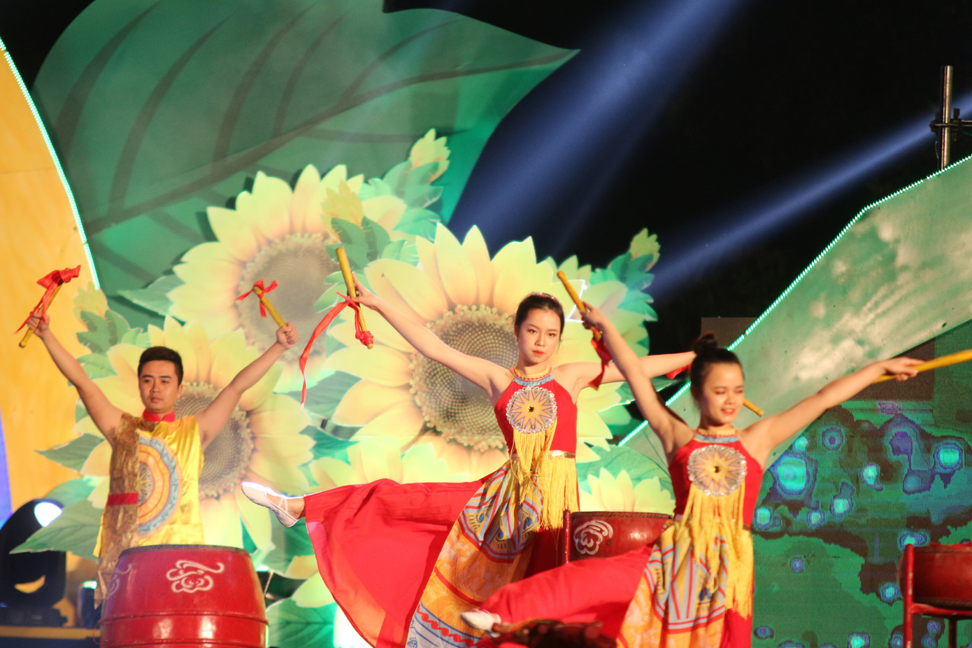 Mở cửa cánh đồng hoa hướng dương rộng nhất Việt Nam ảnh 2