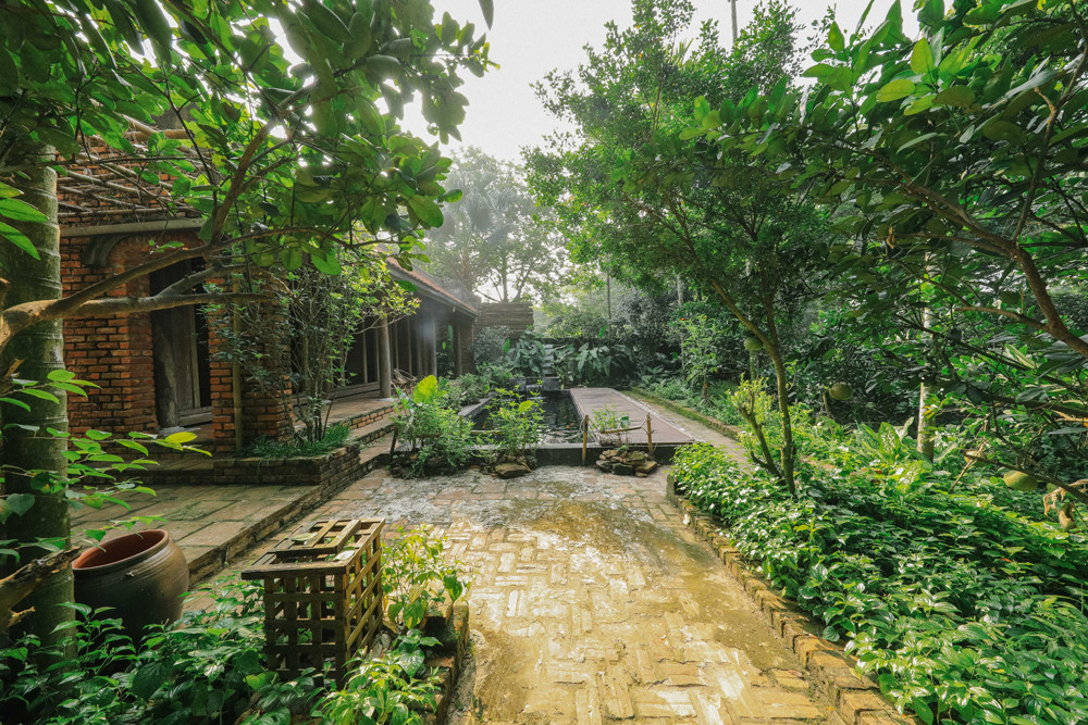 Mê mẩn khu nhà trên núi có ao đầy cá, vườn trĩu quả ảnh 8