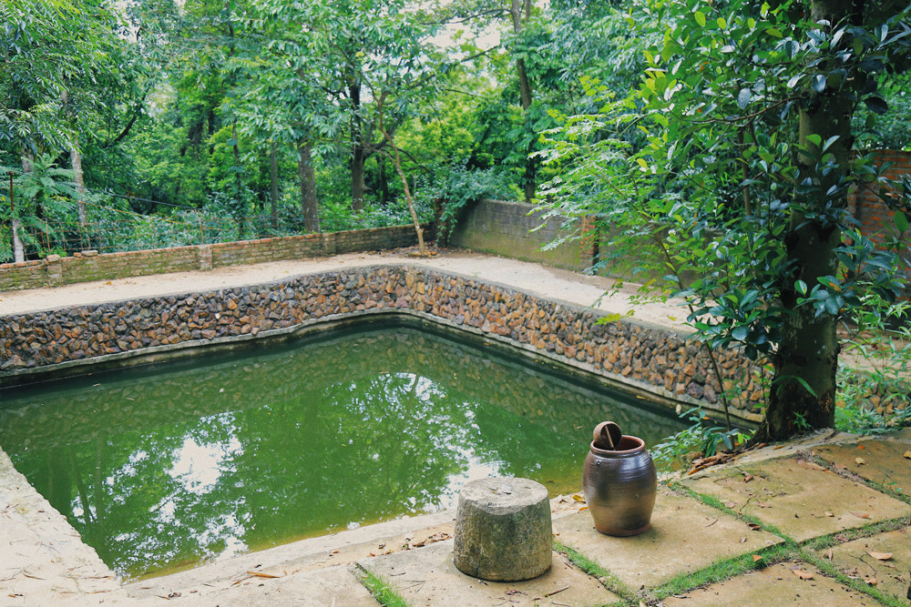 Mê mẩn khu nhà trên núi có ao đầy cá, vườn trĩu quả ảnh 9