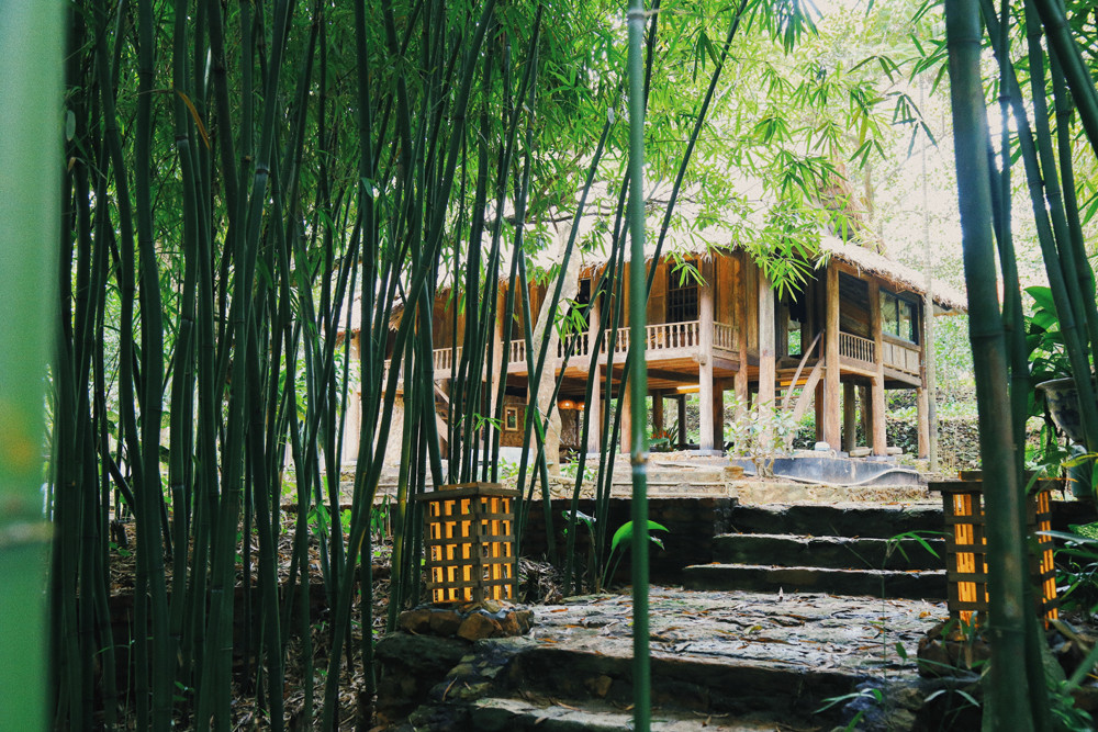 Mê mẩn khu nhà trên núi có ao đầy cá, vườn trĩu quả ảnh 1