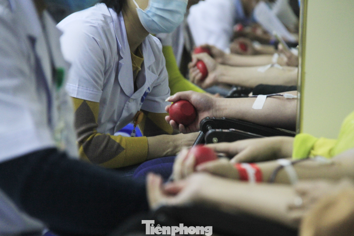 Khởi động chuỗi hiến máu Chủ nhật Đỏ ở Thái Bình ảnh 9