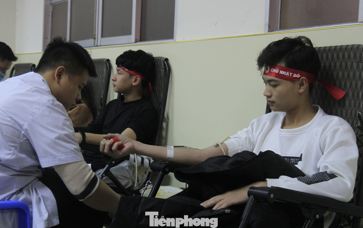 Khởi động chuỗi hiến máu Chủ nhật Đỏ ở Thái Bình ảnh 8