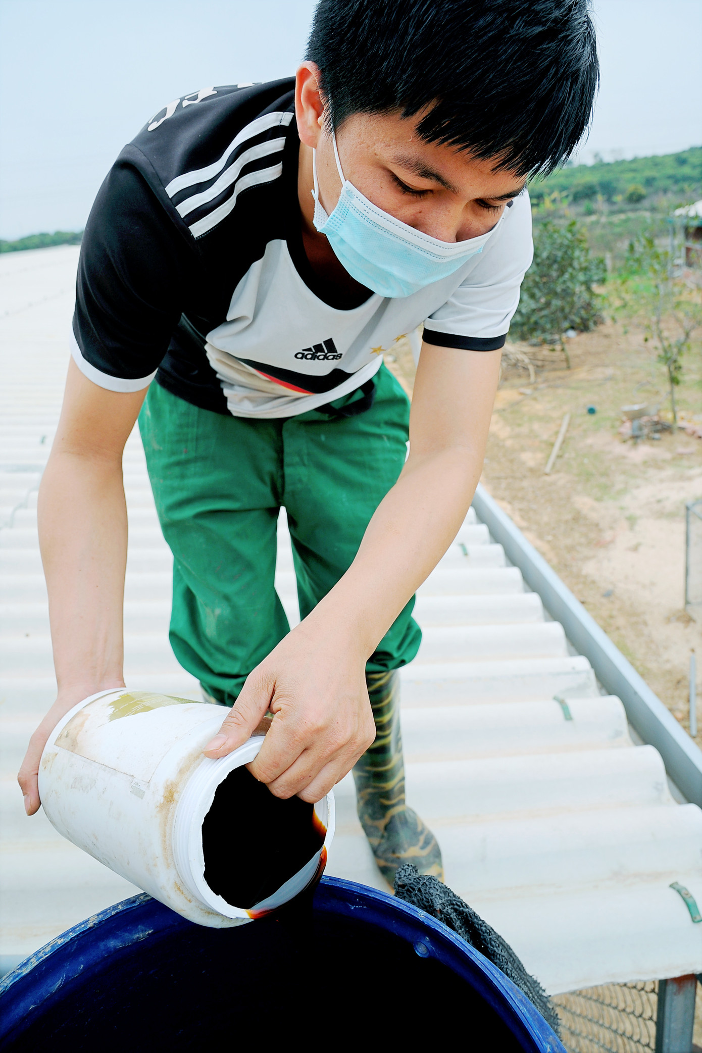 Hải Dương: Gà đồi Chí Linh gặp khó do COVID-19 ảnh 7