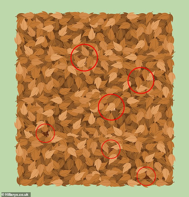 'Hack não' với các thử thách tưởng không khó mà khó không tưởng ảnh 10