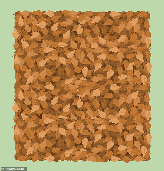 'Hack não' với các thử thách tưởng không khó mà khó không tưởng ảnh 4